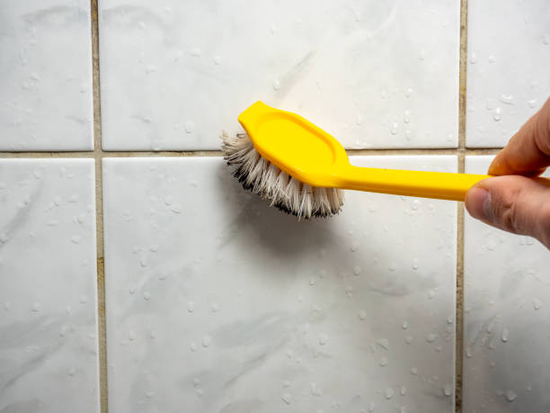 Best Professional Mold Removal  in Gearhart, OR