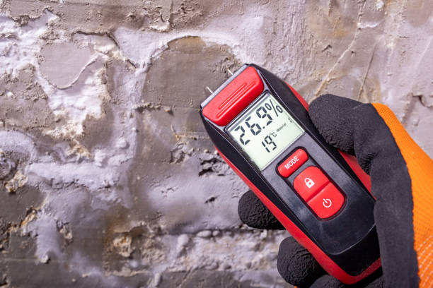 Best Affordable Mold Removal  in Gearhart, OR