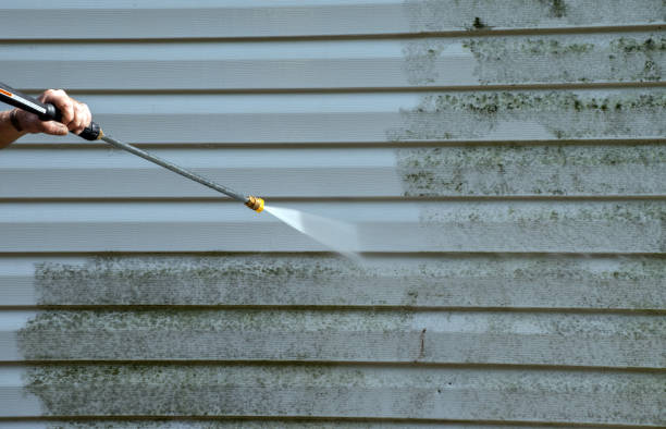 Best Certified Mold Removal  in Gearhart, OR