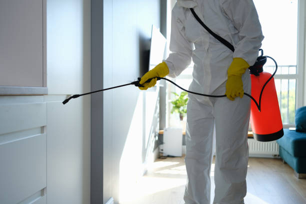 Best Home Mold Removal  in Gearhart, OR