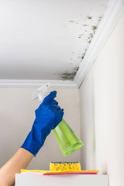Best Crawl Space Mold Removal  in Gearhart, OR